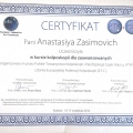 Powiększ obraz: certificate 1