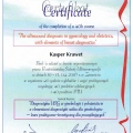 Powiększ obraz: certificate 1
