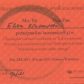 Powiększ obraz: certificate 16