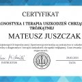 Powiększ obraz: certificate 12