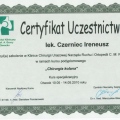 Powiększ obraz: certificate 26