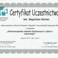 Powiększ obraz: certificate 8