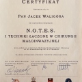 Powiększ obraz: certificate 9