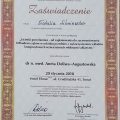 Powiększ obraz: certificate 6