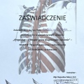 Powiększ obraz: certificate 6