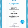 Powiększ obraz: certificate 9