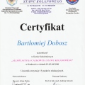 Powiększ obraz: certificate 28