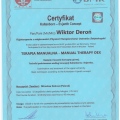 Powiększ obraz: certificate 8