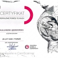 Powiększ obraz: certificate 13