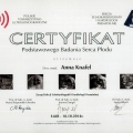 Powiększ obraz: certificate 3