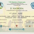 Powiększ obraz: certificate 13