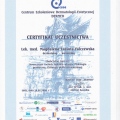 Powiększ obraz: certificate 15