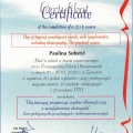Powiększ obraz: certificate 3