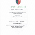 Powiększ obraz: certificate 6