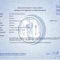 Powiększ obraz: certificate 4
