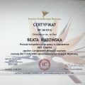 Powiększ obraz: certificate 4