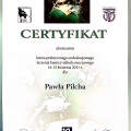 Powiększ obraz: certificate 47