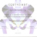 Powiększ obraz: certificate 14