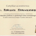 Powiększ obraz: certificate 33