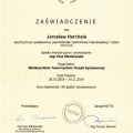 Powiększ obraz: certificate 3