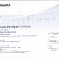 Powiększ obraz: certificate 4