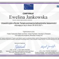 Powiększ obraz: certificate 1