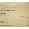 Powiększ obraz: certificate 9