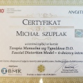 Powiększ obraz: certificate 9