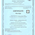 Powiększ obraz: certificate 11