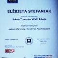 Powiększ obraz: certificate 1