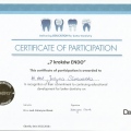 Powiększ obraz: certificate 11