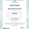 Powiększ obraz: certificate 4