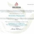 Powiększ obraz: certificate 8