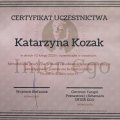 Powiększ obraz: certificate 11