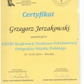 Powiększ obraz: certificate 11
