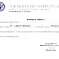 Powiększ obraz: certificate 4