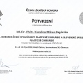 Powiększ obraz: certificate 24