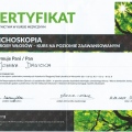 Powiększ obraz: certificate 51