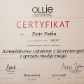 Powiększ obraz: certificate 1