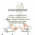 Powiększ obraz: certificate 6