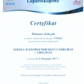 Powiększ obraz: certificate 12