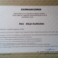 Powiększ obraz: certificate 13