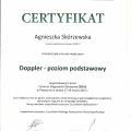 Powiększ obraz: certificate 8