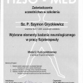Powiększ obraz: certificate 28