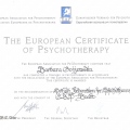 Powiększ obraz: certificate 1