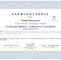 Powiększ obraz: certificate 11