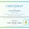 Powiększ obraz: certificate 22