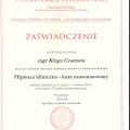 Powiększ obraz: certificate 6