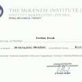 Powiększ obraz: certificate 8