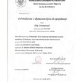 Powiększ obraz: certificate 1